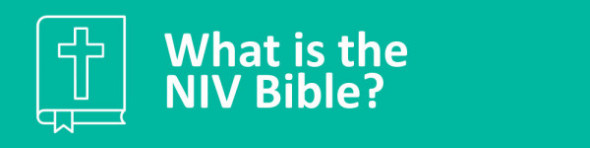 What is the NIV Bible? 